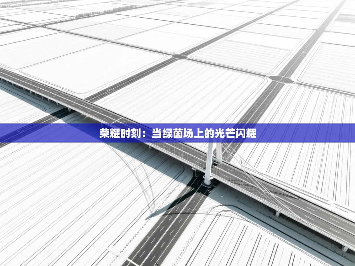 荣耀时刻：当绿茵场上的光芒闪耀  第1张