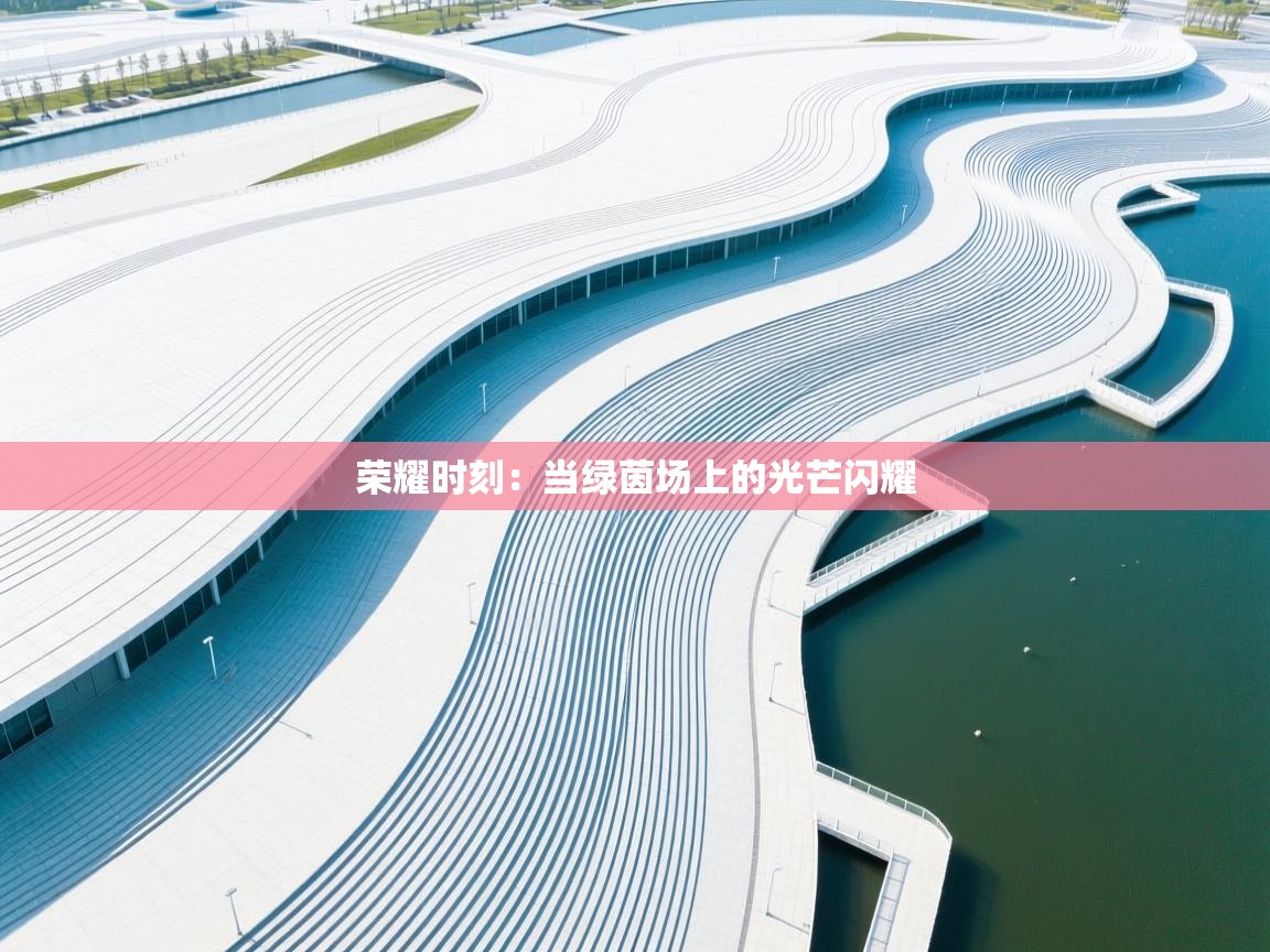 荣耀时刻：当绿茵场上的光芒闪耀  第2张