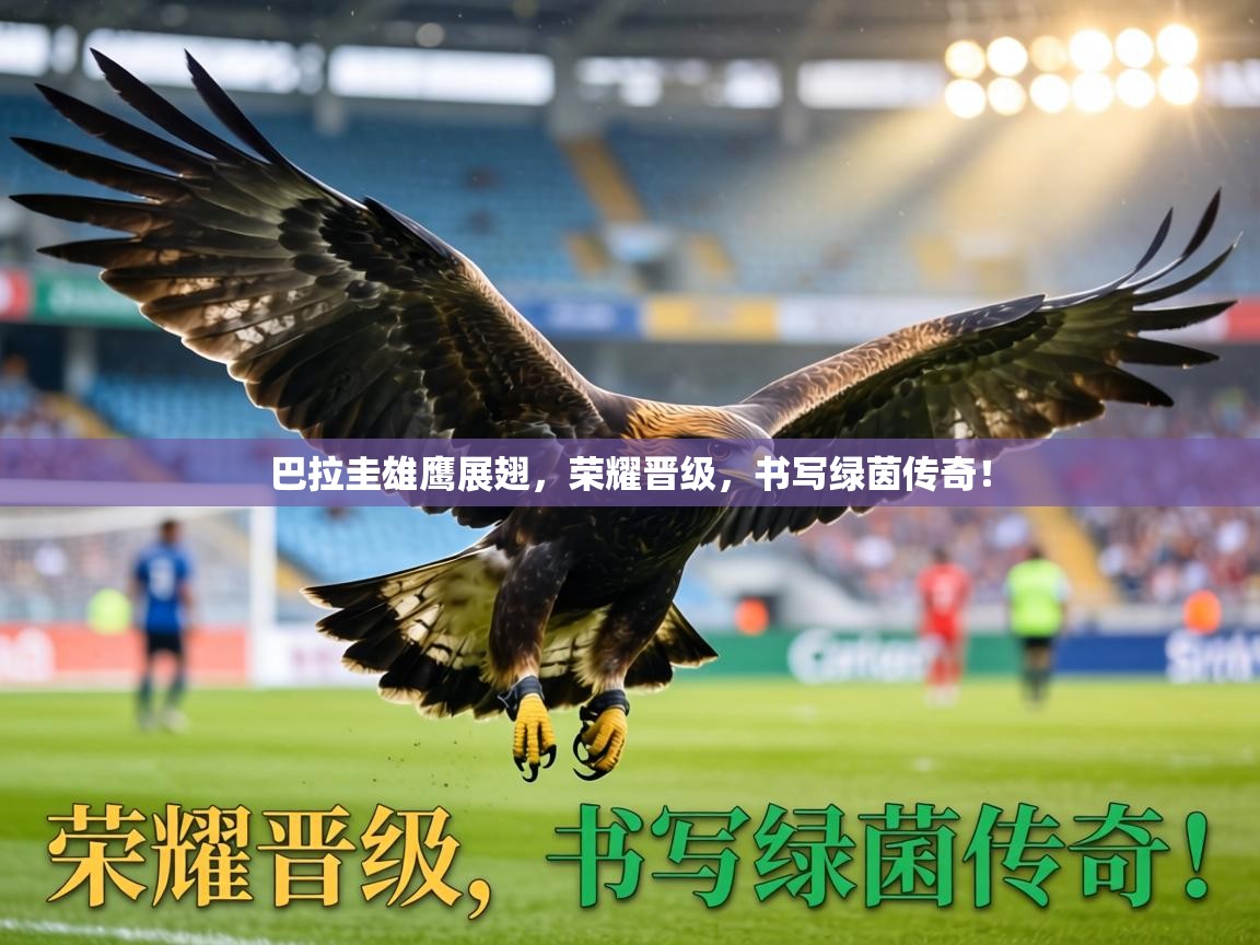 巴拉圭雄鹰展翅，荣耀晋级，书写绿茵传奇！  第2张