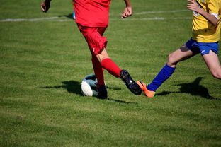 爱游戏入口-国家体育场馆运营管理论坛探讨智能化方向，国家体育总局体育场馆运营管理办法